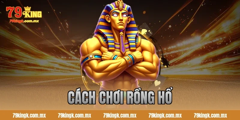 cách chơi rồng hổ